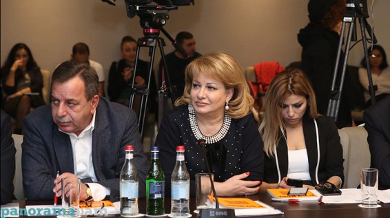 Իմ երկու ՀԷԿ-երում որևէ խախտում չի հայտնաբերվել. Նաիրա Նահապետյան