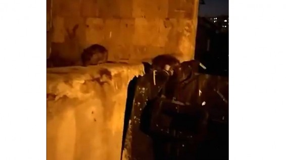 VIDEO: Проблема с вывозом мусора в Ереване: крысы добрались уже до района Арабкир