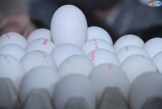 Инспекционный орган по безопасности пищевых продуктов запретил ввоз яиц ООО «Лусакерт» в связи с выявленной фальсификацией