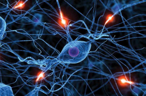Science ամսագիրը հրապարակել է 2018թ.-ի գիտական կարևորագույն ձեռքբերումների տասնյակը