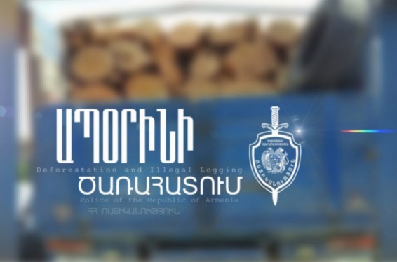 Սպիտակ-Լեռնանցք ճանապարհին ոստիկանները տրանսպորտային միջոցներում հայտնաբերել են հատված ծառերի կոճղեր. վարորդները փաստաթուղթ չեն ներկայացրել