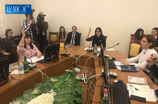 Անի Սամսոնյանն ընտրվեց ԱԺ մարդու իրավունքների հանձնաժողովի փոխնախագահ