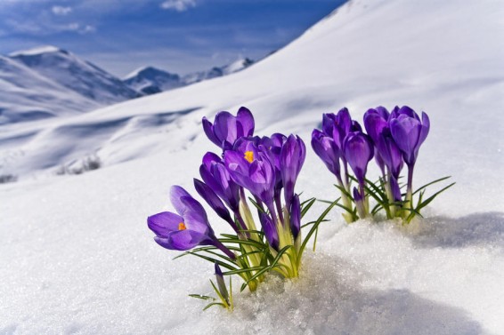 Օդի ջերմաստիճանը կնվազի