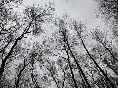 Եղանակը Հայաստանում հանգստյան օրերին