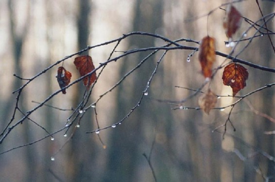Ջերմաստիճանը գիշերը կնվազի 3-4 աստիճանով