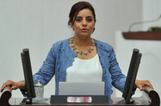 Պոլսահայ գործիչ Սելինա Դողանը հայտնել է Ստամբուլի հայաշատ Շիշլի շրջանի ղեկավար խորհրդի անդամի թեկնածության առաջադրման մասին