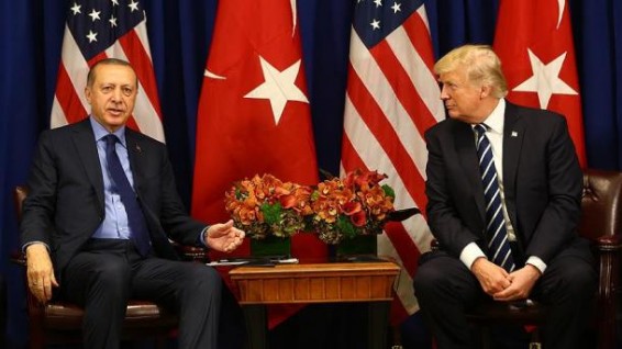 Эрдоган и Трамп обсудили по телефону Сирию