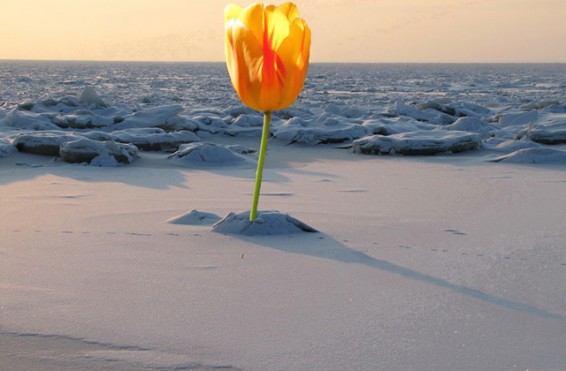 Օդի ջերմաստիճանը կնվազի