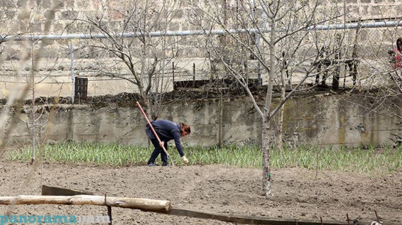 Գյուղացու սոցիալական վիճակը վատթարանում է, նրան հասցեական աջակցություն է պետք