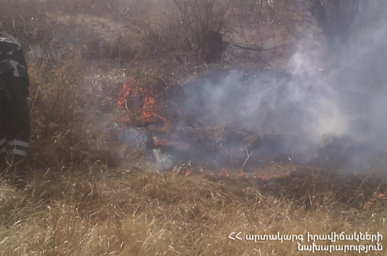 Երևանի Բուսաբանական այգու տարածքում այրվել է մոտ 200 քմ խոտածածկույթ