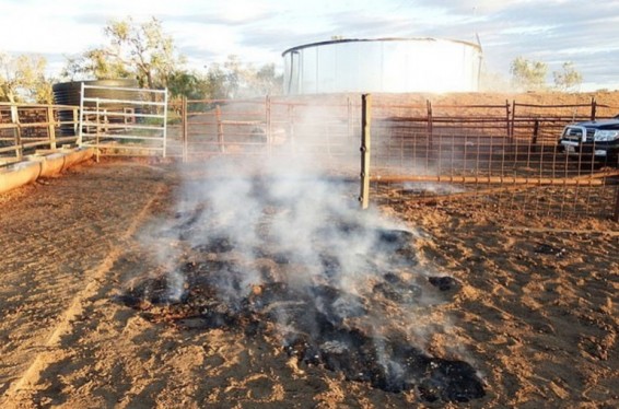 Ավստրալիայում չափազանց շոգ եղանակի հետևանքով գետինը ծխացել է