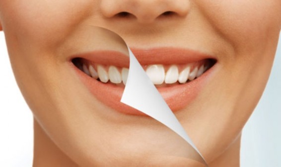 Գիտնականները նոր ատամներ աճեցնել  են  սովորում