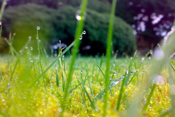 Ինչ եղանակ է սպասվում առաջիկա օրերին