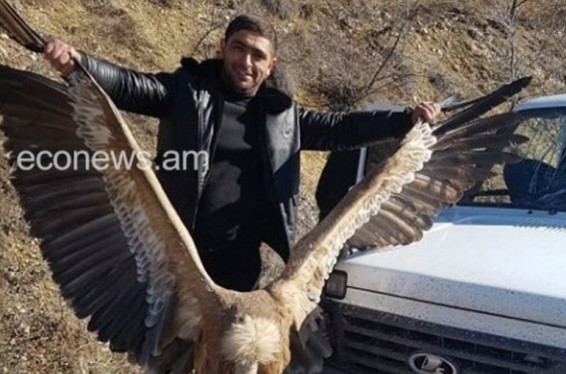 Ոստիկանները հայտնաբերել են Կարմիր գրքում գրանցված սպիտակագլուխ անգղի հետ լուսանկարված քաղաքացուն