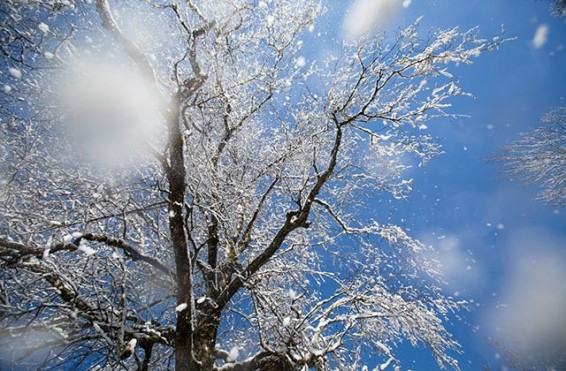 Մարտի 4-8-ը սպասվում է առանց տեղումների եղանակ