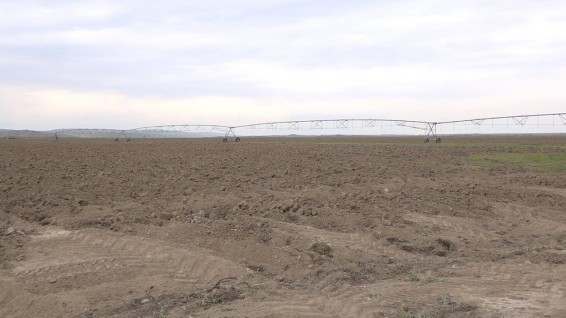 Փաշինյանի ու Վանեցյանի հայտարարությունները վկայում են, որ ազգադավ քաղաքականությունն ավարտված է. Սպաների միություն