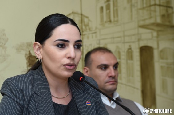 «Թիվ 19 պոլիկլինիկա» ՓԲԸ-ի տնօրենը դատական հայց է ներկայացրել Թեհմինա Վարդանյանի դեմ