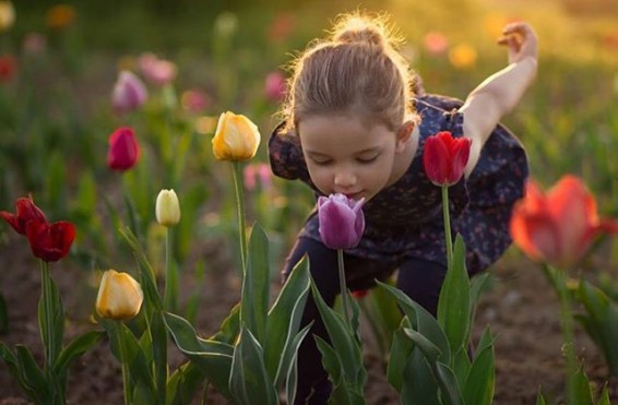 Եղանակը առաջիկա օրերին