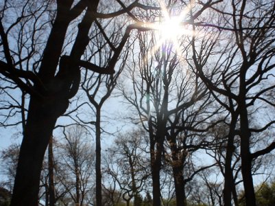 Եղանակը՝ Հայաստանում