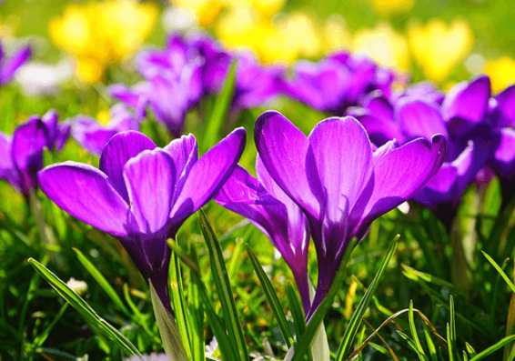 Վաղվանից սպասվում է ջերմաստիճանի նվազում