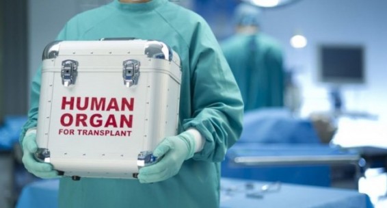 Հայաստանի պատմության մեջ առաջին անգամ կատարվել է լյարդի փոխպատվաստում կենդանի դոնորից