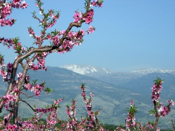 Օդի ջերմաստիճանը կբարձրանա