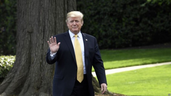 Трамп и Абэ договорились сотрудничать