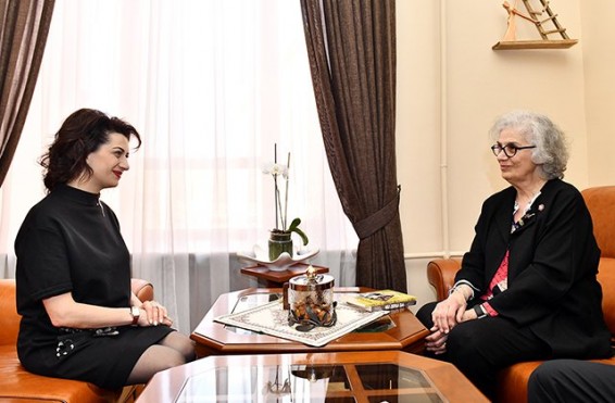 Աննա Հակոբյանն ու բարերար Քերոլայն Նաջարյանը քննարկել են ապագա համագործակցության ուղիները