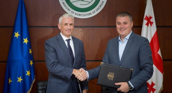 UNDP поможет Грузии разработать сельскохозяйственную стратегию