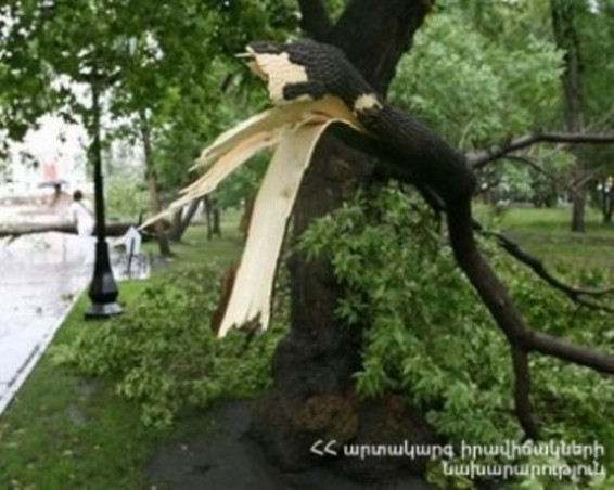 Ուժեղ քամուց բարդիների ճյուղերը պոկվել, ընկել են ու փակել մայրուղին