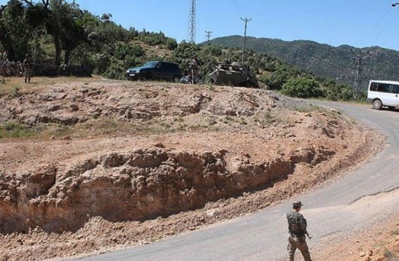 Թուրքիայում երկու քորուջու է սպանվել