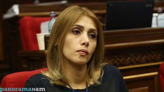 Էլինար Վարդանյան. Հայկ Սարգսյանի տարածած հայտարարությունը պարզապես նվեր է Քոչարյանի պաշտպանական կողմին