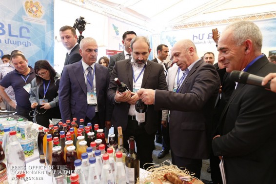 «Ճիշտ ա՞, որ ասում են թանը դնջացնում ա». Փաշինյան