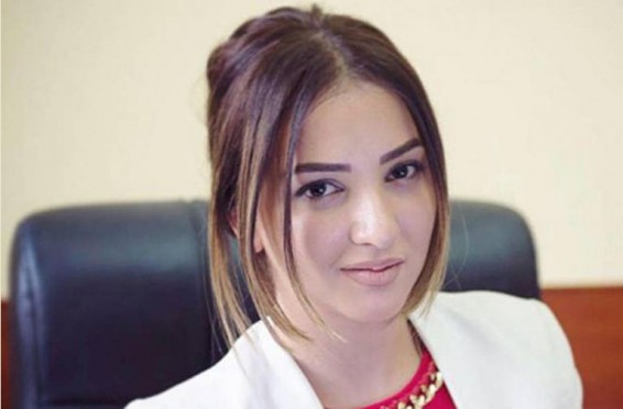 30,000,000 ՀՀ դրամ և 55,000 ԱՄՆ դոլար. ՀՀ տարածքային կառավարման և ենթակառուցվածքների նախարարի նորանշանակ տեղակալ Լիլիա Շուշանյանի հայտարարագիրը