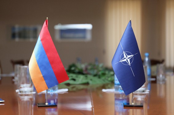 Армения и НАТО обсудили новые направления сотрудничества