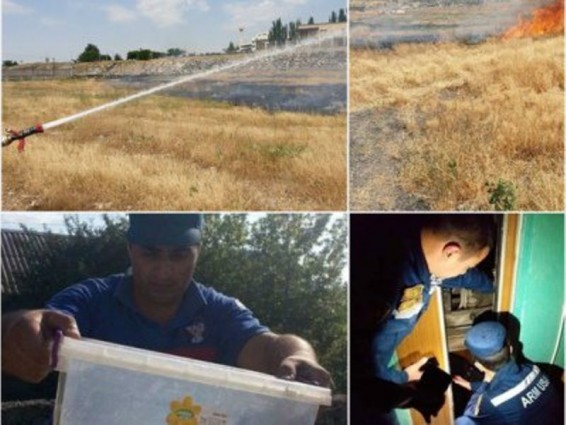 Մեկ շաբաթում գրացվել է 518 արտակարգ դեպք. զոհվել է 4 մարդ, փրկվել է՝ 10-ը