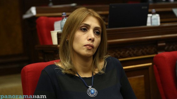 Էլինար Վարդանյան. Հստակ պատասխանների ակնկալիքով