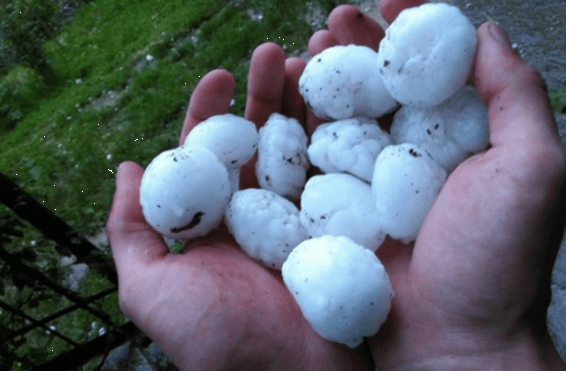 Կարկուտը վնասներ է հասցրել Մարտունու տարածքի մի շարք համայնքների տնտեսություններին