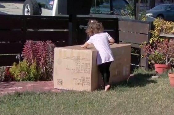 ԱՄՆ-ում 2-ամյա փոքրիկը թանկարժեք գնում է կատարել Amazon-ից` մայրիկի հեռախոսով պատահաբար խաղալիս