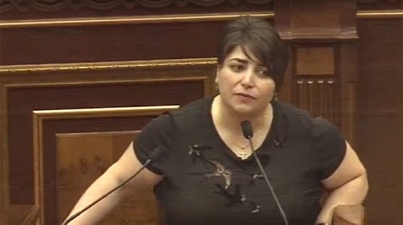 ԲԴԽ անդամի թեկնածուն առաջարկում է ընդհանրապես հրաժարվել վեթթինգ բառից