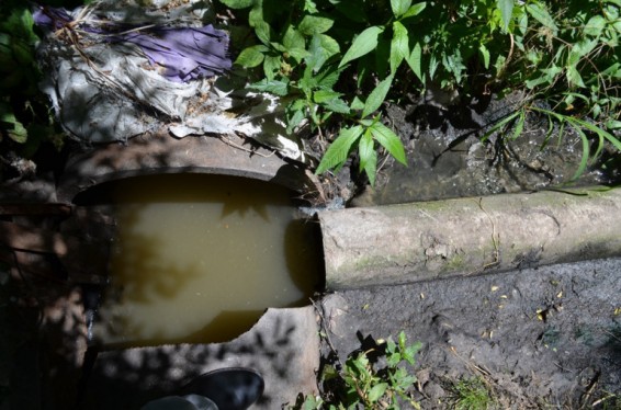 Երևանի բնակիչները կոտրում են կոյուղու խողովակներն իրենց այգիները ոռոգելու համար. «Վեոլիա ջուրը» պատրաստվում է դիմել ոստիկանություն