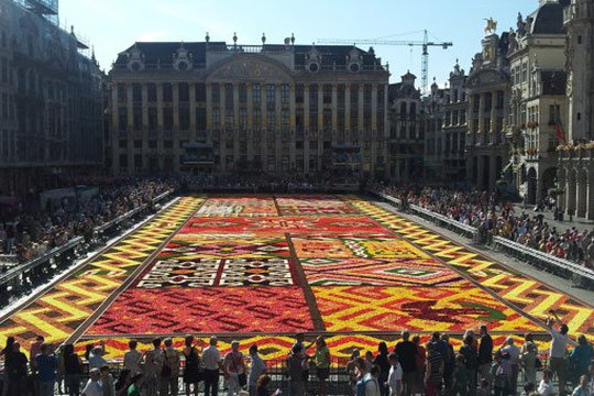 Բրյուսելի գլխավոր հրապարակը կզարդարվի հոբելյանական ծաղկային գորգով