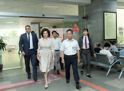 Աննա Հակոբյանը Հանոյում այցելել է արյան հիվանդություններ ունեցող երեխաներին, նրանց նվիրել ձեռագործ տիկնիկներ