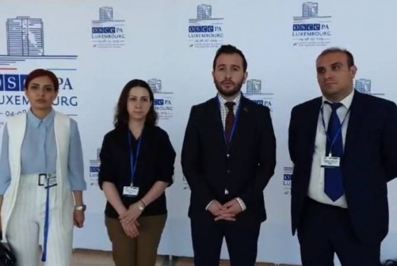 Հայաստանի ջանքերով ԵԱՀԿ ԽՎ բանաձևից հանվել են հակահայկական ձևակերպումները