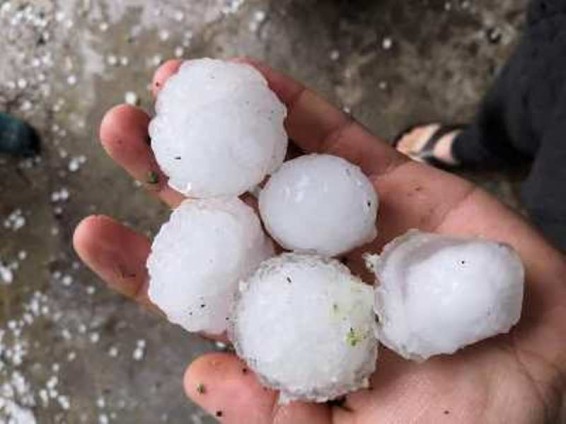 Աշխարհում չկա մի համակարգ, որը 100 տոկոսով կպայքարի կարկուտի դեմ. ԱԻ նախարար