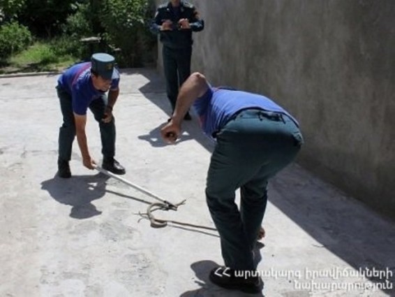 Երկու օրում փրկարարները բռնել են 2 գյուրզա, 3 շահմար, 3 սահնօձ