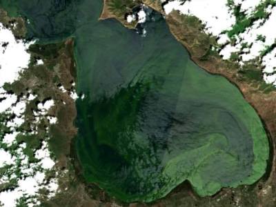 «SOS» Սեւանը լիճը փրկելու ահազանգ-բաց նամակ է ուղղել վարչապետին