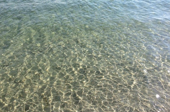 Սևանա լճում ջրիմուռների աճման շրջանն ավարտված է, լճի թափանցիկությունը կտրուկ աճել է. ՀՀ շրջակա միջավայրի նախարարություն