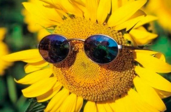 Սպասվում է բարձր կարգի հրդեհավտանգ իրավիճակ