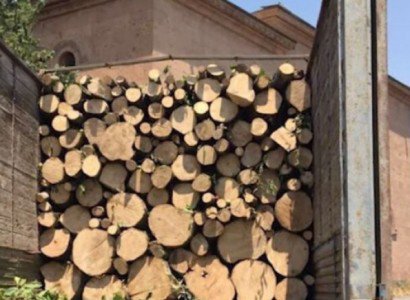 Փայտանյութ՝ առանց համապատասխան փաստաթղթի. Բեռնատարը տեղափոխվել է հատուկ պահպանվող տարածք